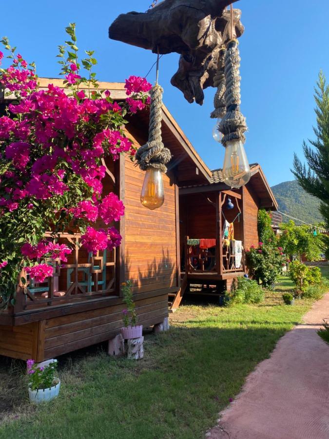 Karaoez Ada Bungalows & Villa エクステリア 写真
