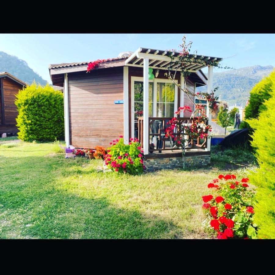 Karaoez Ada Bungalows & Villa エクステリア 写真