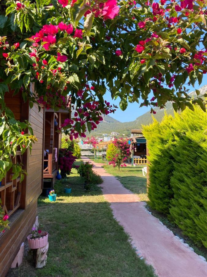 Karaoez Ada Bungalows & Villa エクステリア 写真