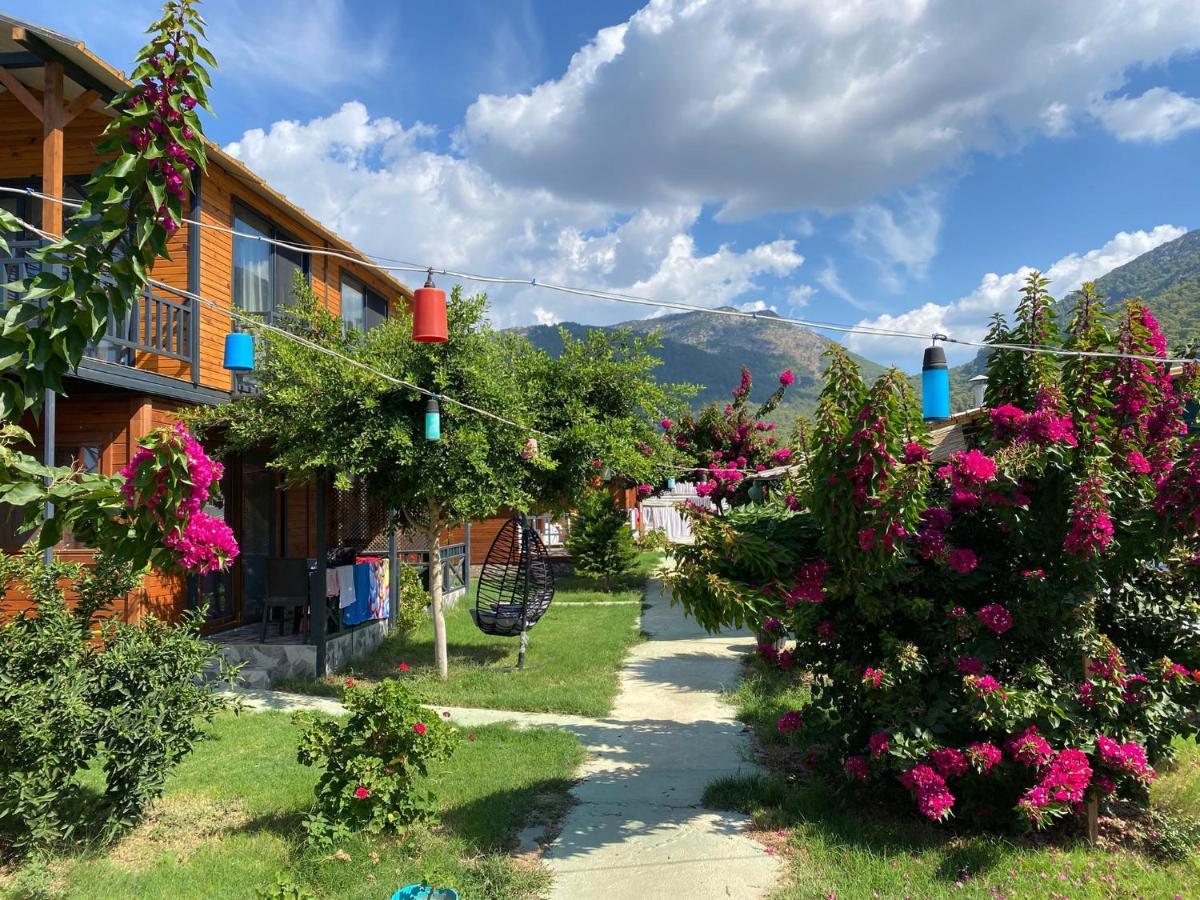 Karaoez Ada Bungalows & Villa エクステリア 写真