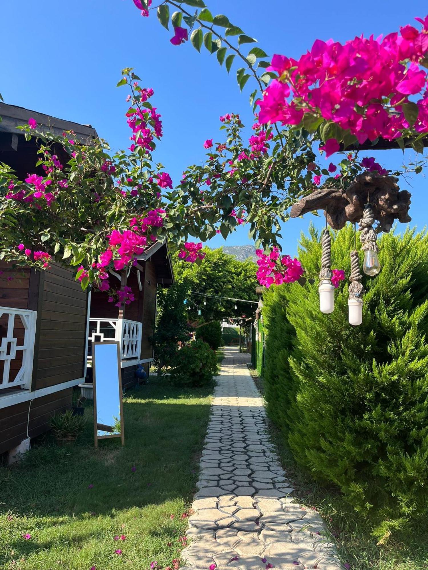 Karaoez Ada Bungalows & Villa エクステリア 写真
